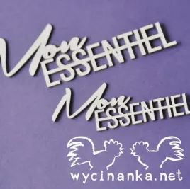 napisy-mon-essentiel-fr