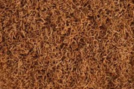 ochotka-liofilizowana-przysmak-dla-ryb-100ml