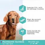eukanuba-karma-sucha-drob-12-kg-karmy-specjalne-dla-psow-z-nadwrazliwoscia-pokarmowa