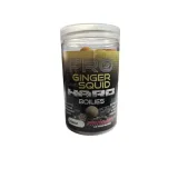 kulki-hakowe-probiotic-ginger-squid-20mm-starbaits