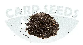 carp-seeds-konopie-zanetowe-box-8-kg