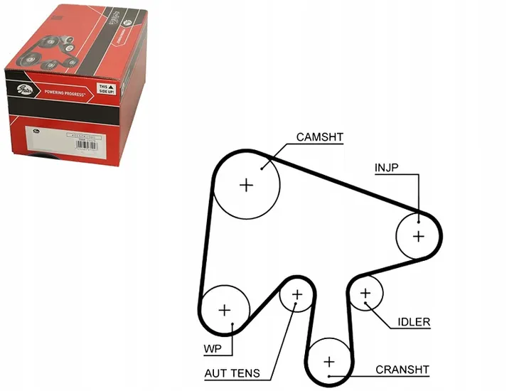 pasek-rozrz-gates-gates-5630xs-gates-numer-katalogowy-oryginalu-mazda-rf7j-12-205
