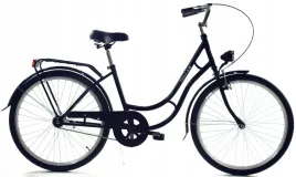 rower-dallas-retro-26-1spd