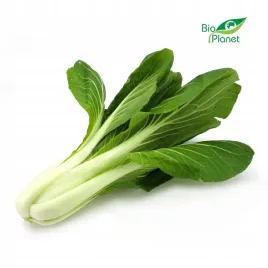 kapusta-pak-choi-swieza-bio-okolo-025-kg