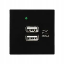 port-modulowy-z-ladowarka-2xusb-or-gm-9010-b-usbx2
