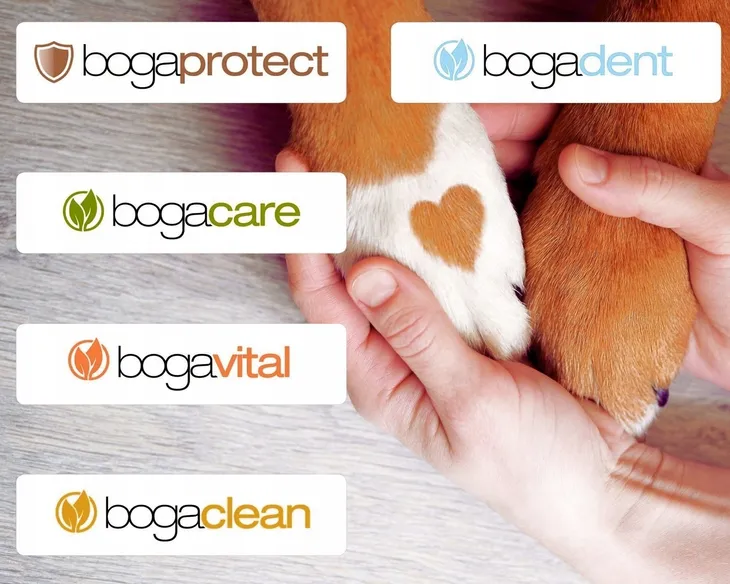 bogadent-ergo-dual-brush-rodzaj-szczoteczka-do-zebow