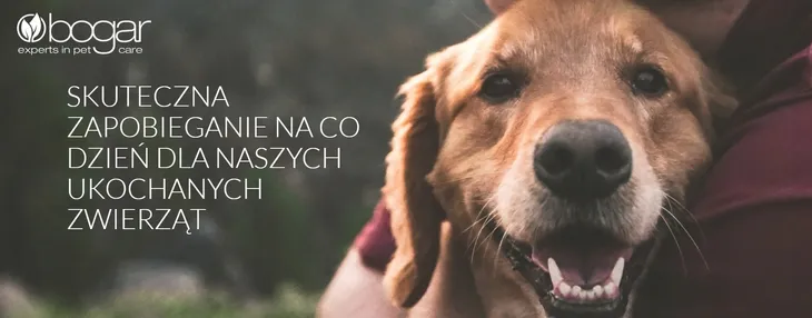 bogadent-ergo-dual-brush-stan-nowy