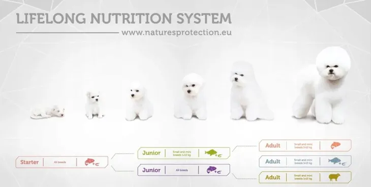 nature-s-protection-junior-biale-ryby-15kg-wiek-zwierzecia-szczenieta-i-mlode-psy