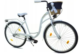 rower-dallas-city-28-1spd-wiklina-pokrowiec