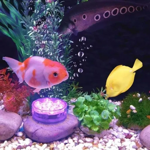 2x-wodoodporna-lampka-10-led-rgb-do-jacuzzi-basenu-pilot-podstawka-maksymalna-moc-pojedynczego-zrodla-swiatla-2-4-w