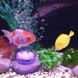 2x-wodoodporna-lampka-10-led-rgb-do-jacuzzi-basenu-pilot-podstawka-maksymalna-moc-pojedynczego-zrodla-swiatla-2-4-w