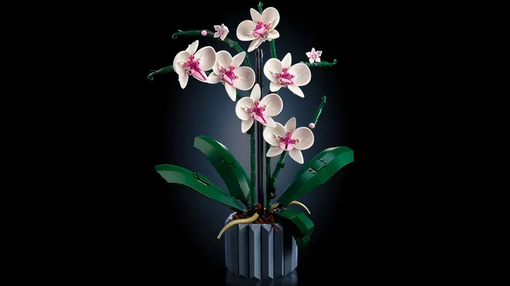 lego-icons-orchidea-10311-stan-nowy-plec-chlopcy-dziewczynki