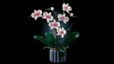 lego-icons-orchidea-10311-stan-nowy-certyfikaty-opinie-atesty-ce-fsc