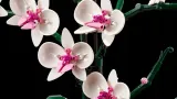 lego-icons-orchidea-10311-stan-nowy-wiek-dziecka-18-lat