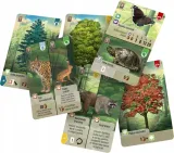 lesne-rozdanie-rebel-stan-nowy