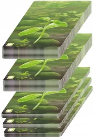 lesne-rozdanie-rebel-czas-rozgrywki-do-1-godziny