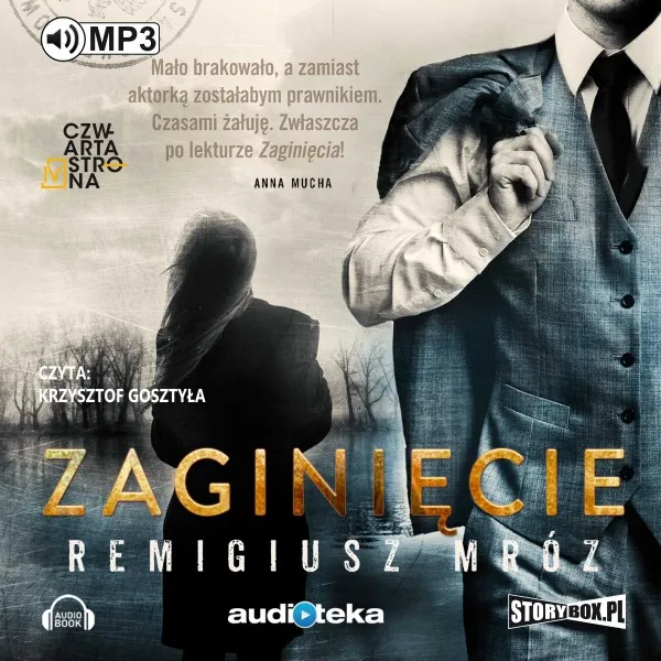 zaginiecie-audiobook-tytul-zaginiecie