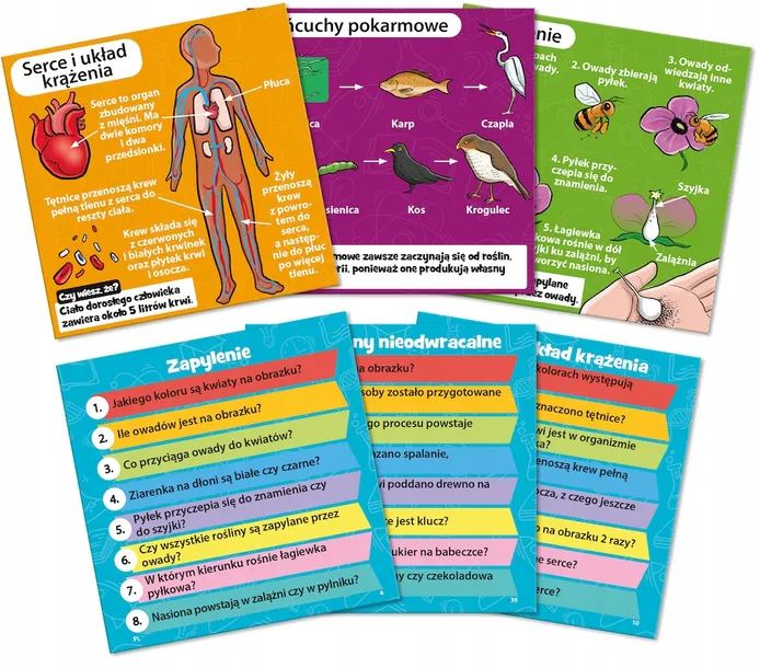 gra-brainbox-nauka-plec-chlopcy-dziewczynki