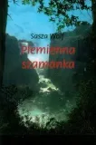 wolf-sasza-plemienna-szamanka-stan-nowy