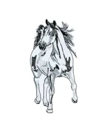 aplikacje-naprasowanki-naszywki-haft-145-x-85-cm-kon-arabski