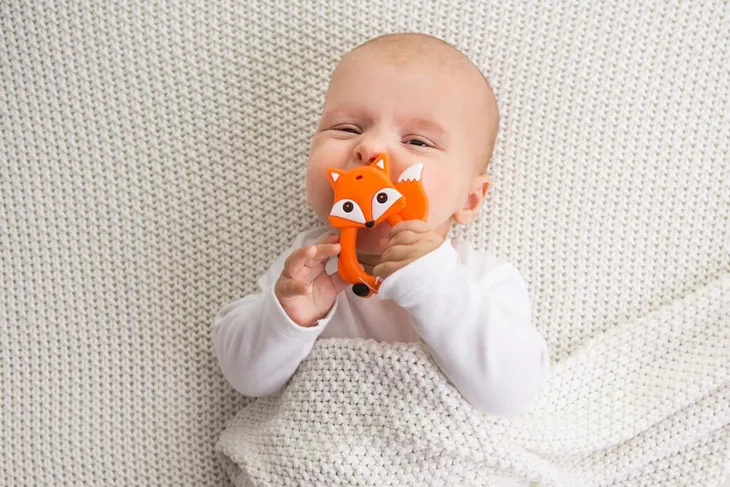 gryzak-lis-giligums-dumel-wiek-dziecka-3-m