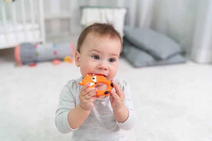 gryzak-lis-giligums-dumel-waga-z-opakowaniem-0-1-kg