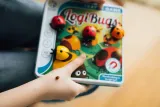 smart-games-logibugs-eng-iuvi-games-rodzaj-podstawa