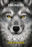 sfora-t-2-ukryty-wrog-wydawnictwo-nowa-basn