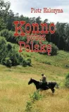 kulczyna-konno-przez-polske-stan-nowy