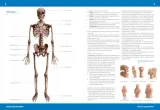 atlas-anatomiczny-justyna-mazurek-stan-nowy