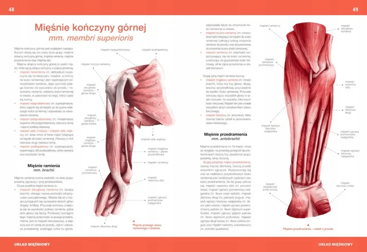 atlas-anatomiczny-justyna-mazurek-wydawnictwo-wydawnictwo-sbm