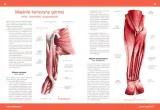 atlas-anatomiczny-justyna-mazurek-wydawnictwo-wydawnictwo-sbm