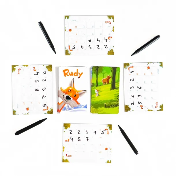 rudy-sprytna-gra-pamieciowa-muduko-wiek-gracza-8-11-lat
