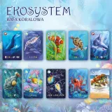 ekosystem-2-rafa-koralowa-matt-simpson-czas-rozgrywki-do-30-minut