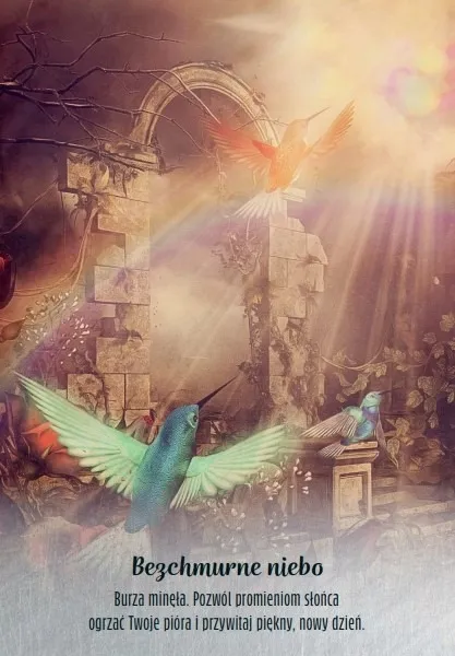 madrosc-madrosc-kolibrow-wiek-gracza-18