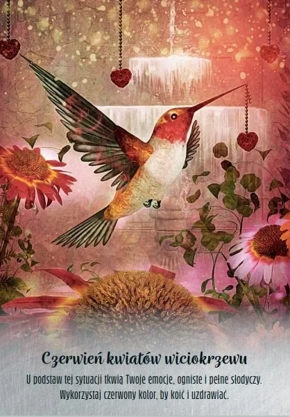 madrosc-madrosc-kolibrow-wydawca-inny