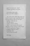 memory-almost-full-julia-biel-okladka-miekka