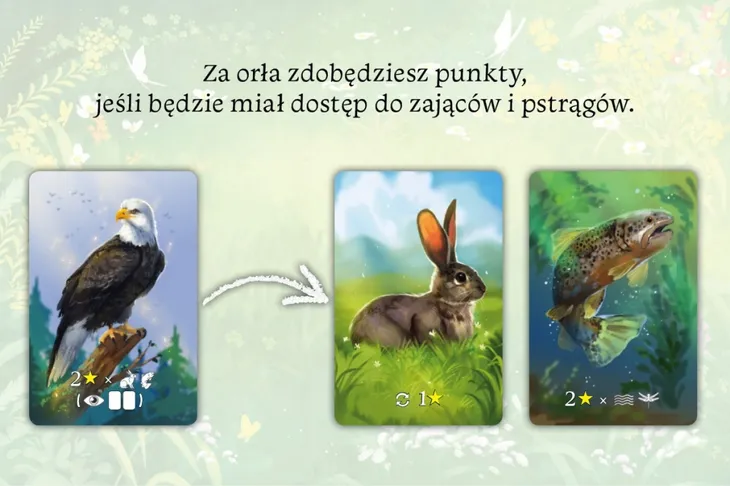 ekosystem-rodzaj-podstawa