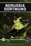 borussia-dortmund-stan-nowy