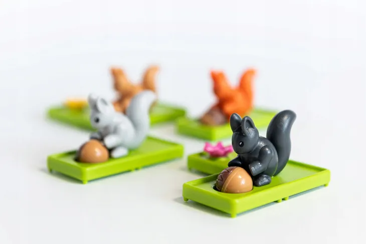 squirrels-go-nuts-smart-games-rodzaj-podstawa