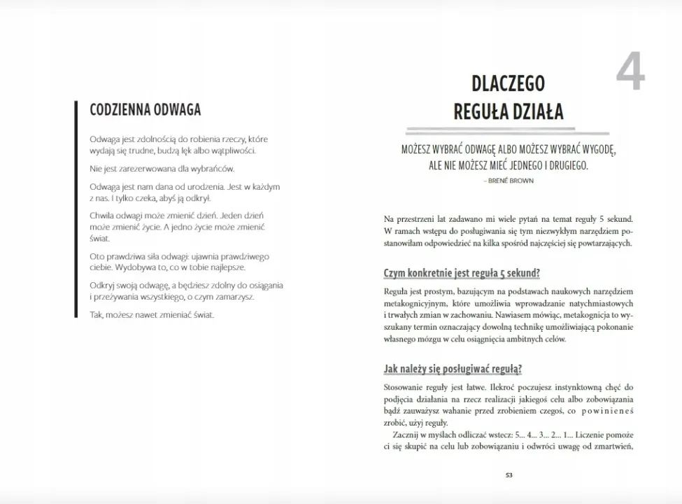 regula-5-sekund-mel-robbins