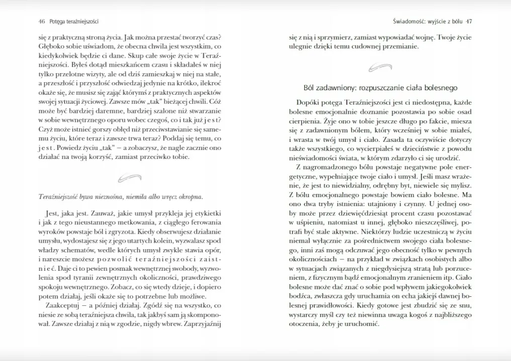 potega-terazniejszosci-tolle-eckhart