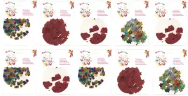 kula-balon-przezroczysty-z-konfetti-40cm-10szt