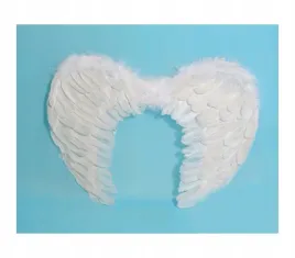 biale-skrzydla-z-piorami-aniolek-jaselka-60x40cm