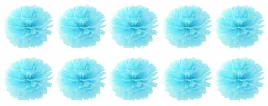 papierowy-pompon-20cm-rozeta-bibula-rozne-kolory-zestaw-10szt