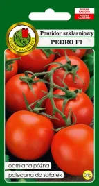 pomidor-tunelowy-pedro-f1-0-1-g-pnos