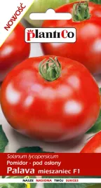 pomidor-pod-oslony-f1-palava-01-g-plantico
