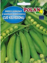 groch-siewny-luskowy-cud-kelvedonu-500-g-plantico-polan