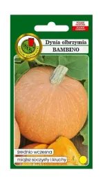 dynia-olbrzymia-bambino-500-g-pnos