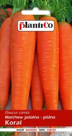 marchew-jadalna-koral-100-g-plantico-polan